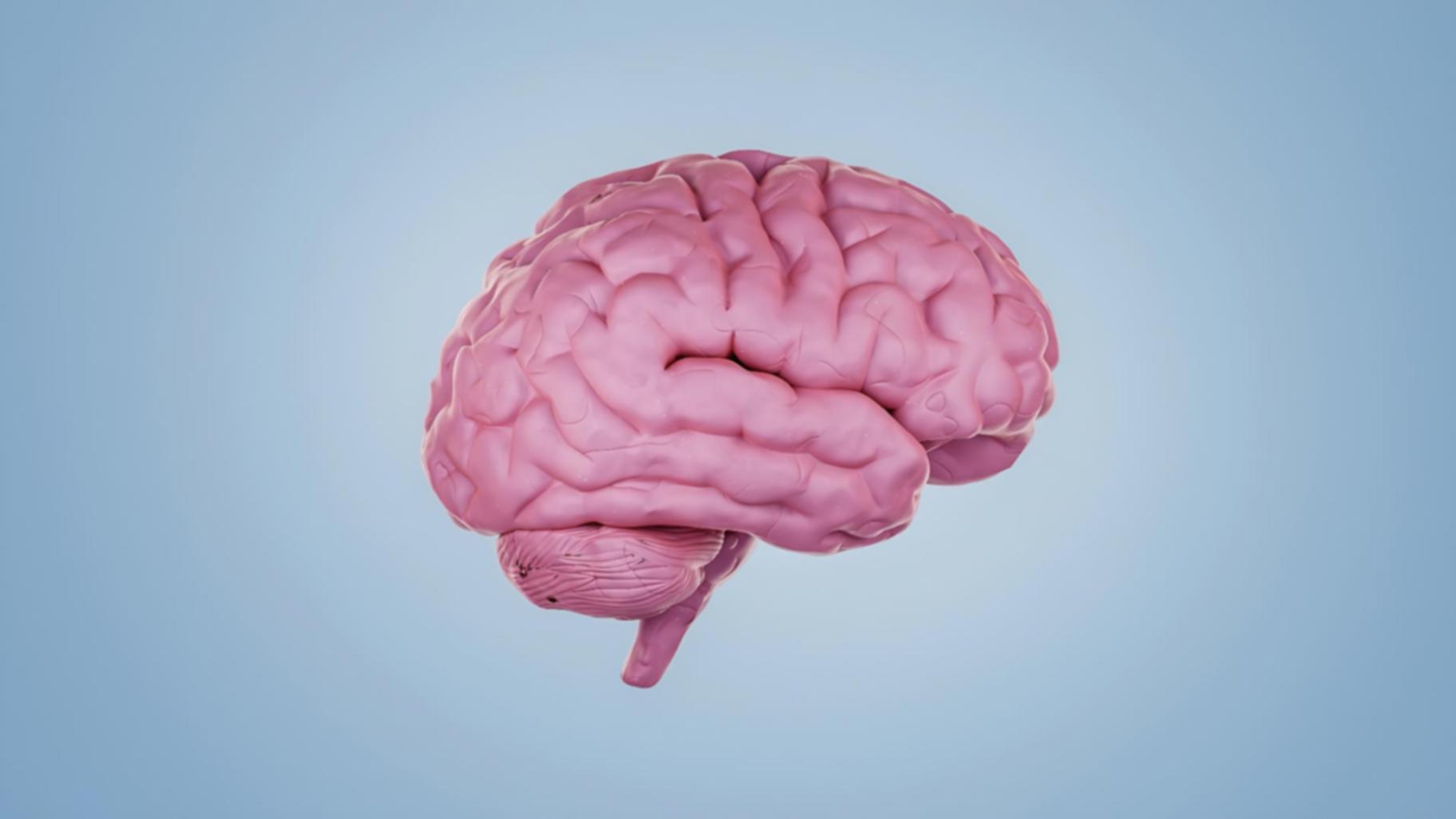 Contenuti aggiornati regolarmente